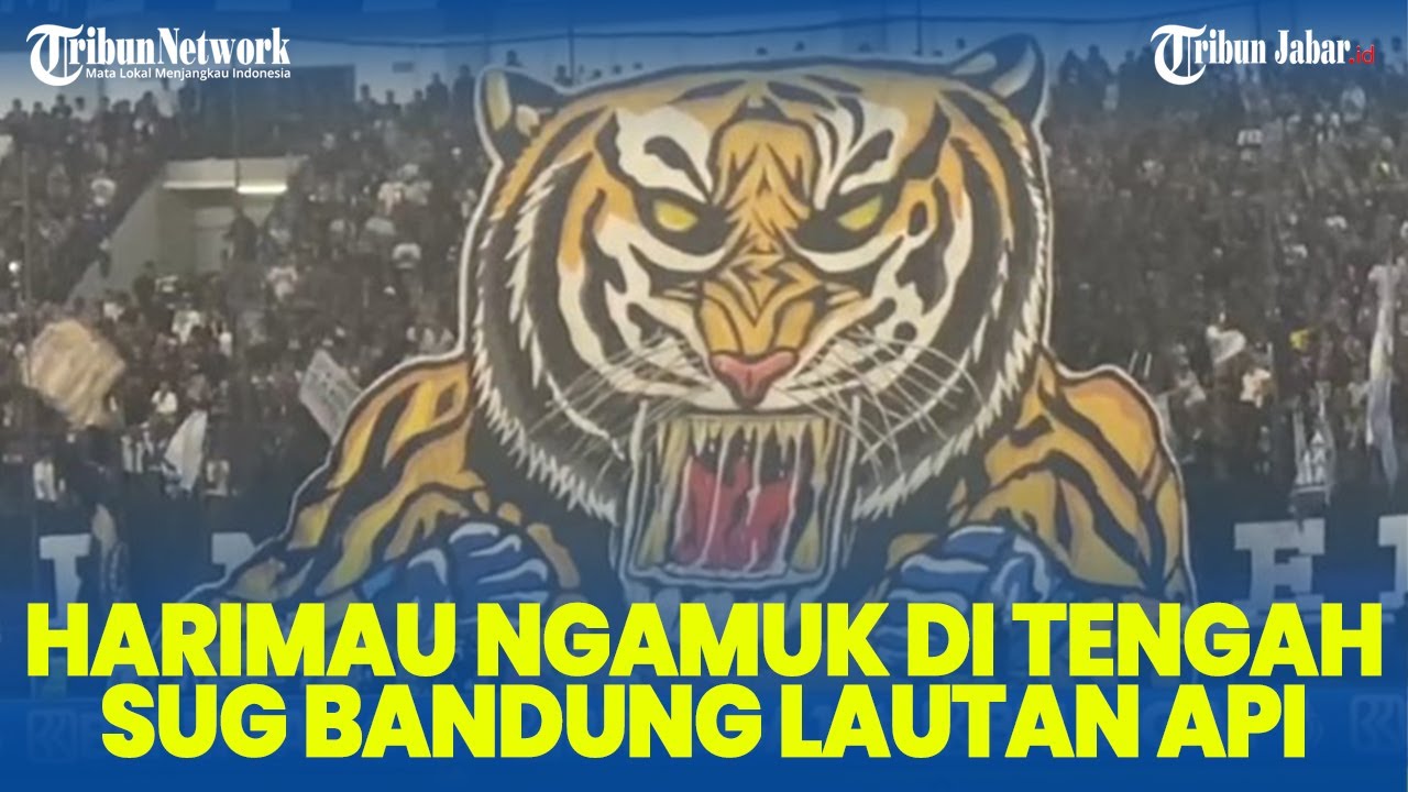 MOMEN Koreo Keren Disertai 'Auman' Maung di Penjuru Stadion saat Persib Bandung Sikat Persita