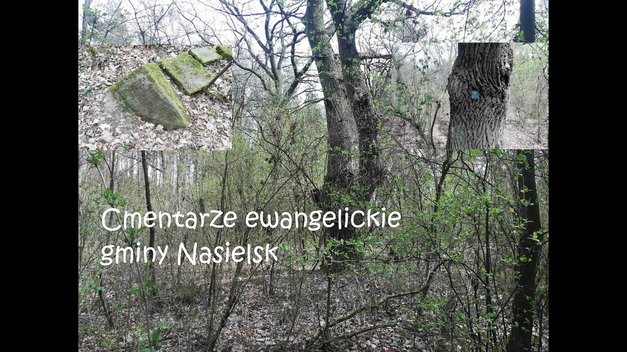 Gmina Nasielsk - cmentarze ewangelickie - Konary, Dębinki, Mogowo (powiat nowodworski).