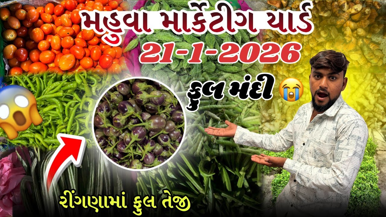આજના સબજી ના ભાવ બોવ નીચા ભાવ મહુવા માર્કેટીંગ યાર્ડ બકાલા ના ભાવ ફુલ મગી  જોવા મળી 🥬🍅