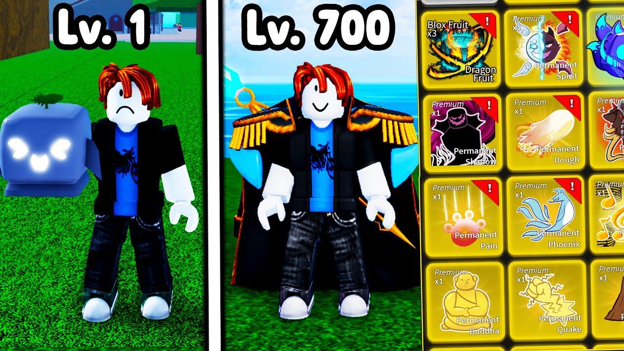 Noob To Pro Level 1 - 700 in ONE VIDEO! (Blox Fruits)