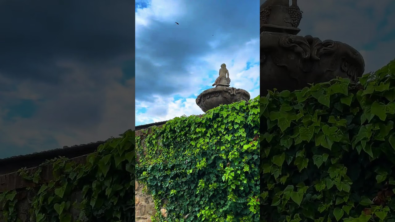 Mi parte favorita de vivir en Toscana 🏰 🍷 ❤️#relax #travel #viaggiare
