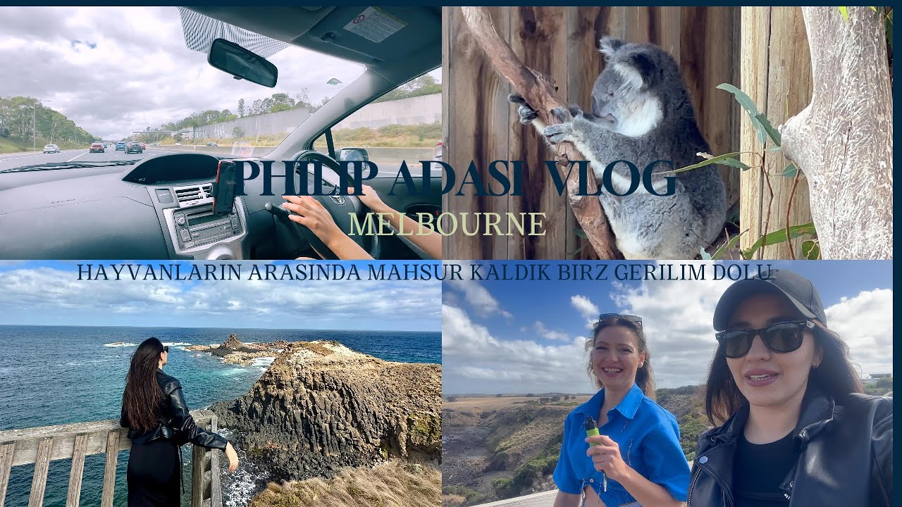 Philip Island vlog - Hayvanların arasında nasıl kaldık ? Avustralya melbourne büyüleyici adası