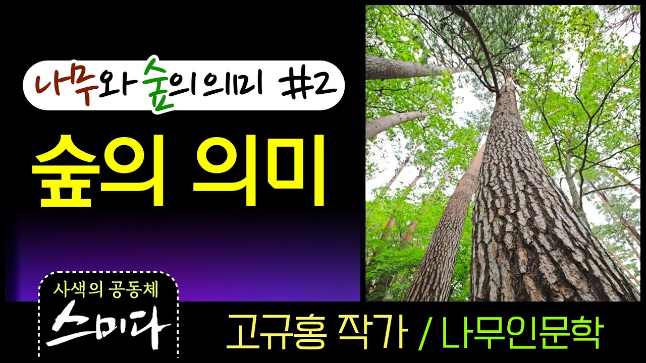 고규홍 작가#2 숲의 의미 (울진 금강소나무 숲/숲의 천이과정) 사색의 공동체 스미다