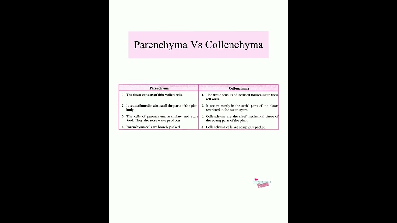 Differences between Parenchyma and Collenchyma|Tissue|Class9th Biology #shorts #sciencenotes #class9