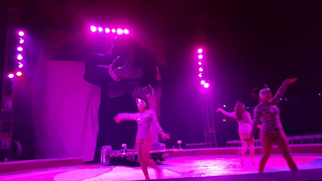 circus alegria king kongo