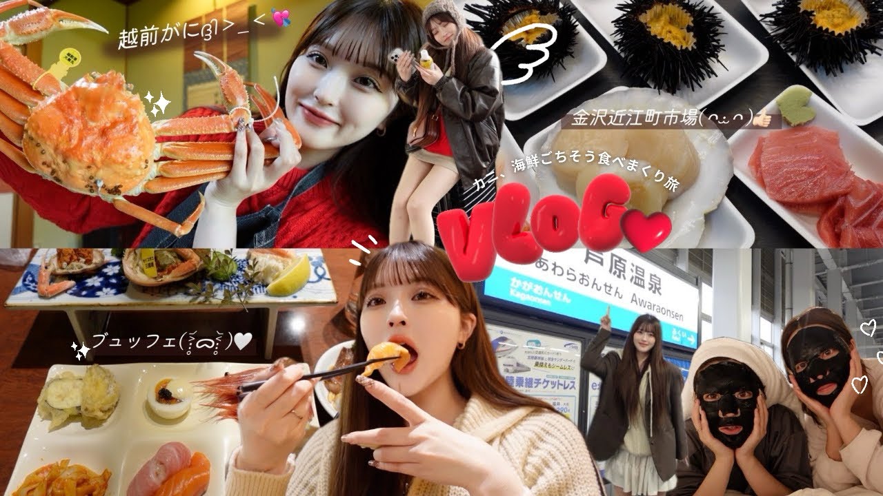 【vlog】美味しいもの食べまくり🦀🍚2泊3日の福井・石川旅行🚅