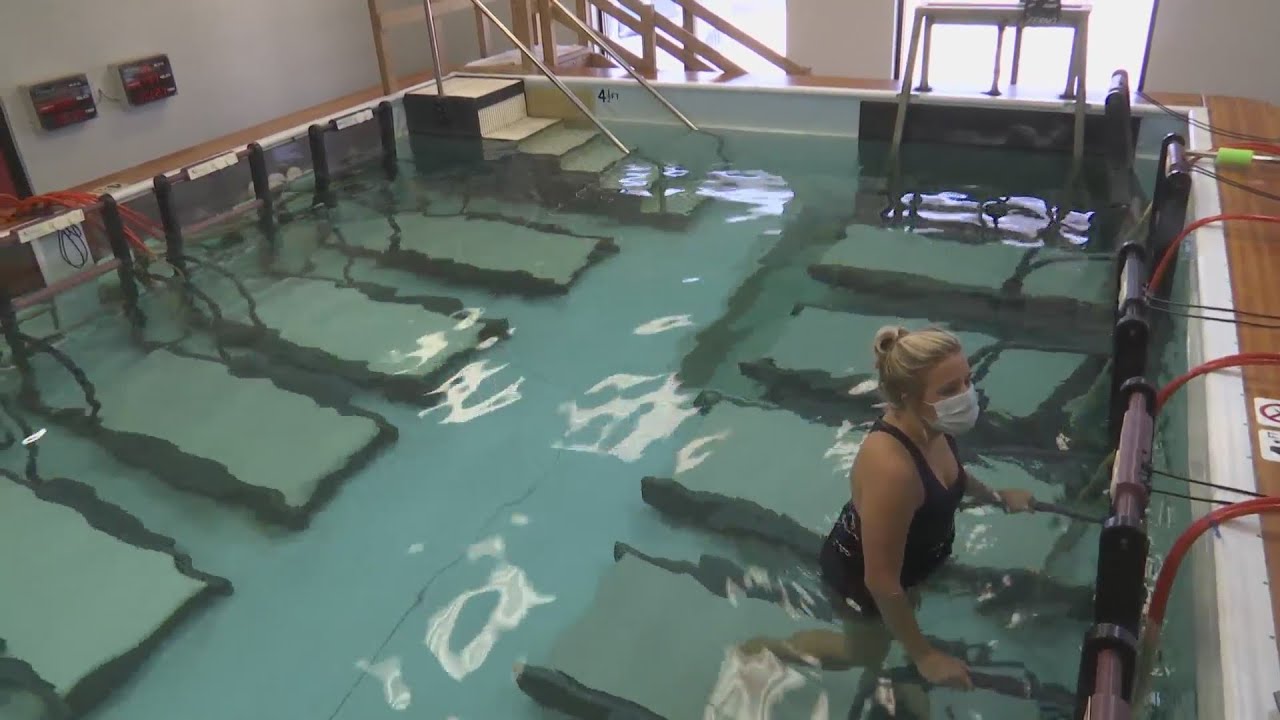 underwater treadmill