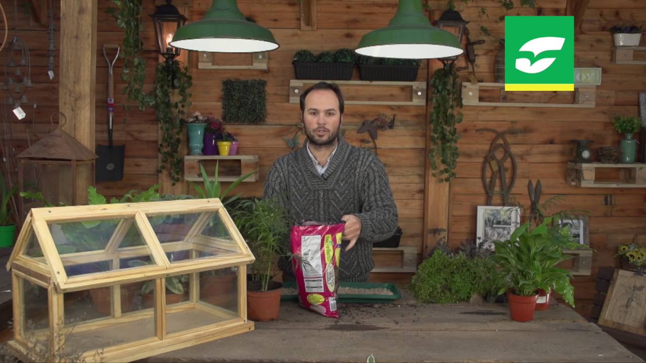 Mini Vivero