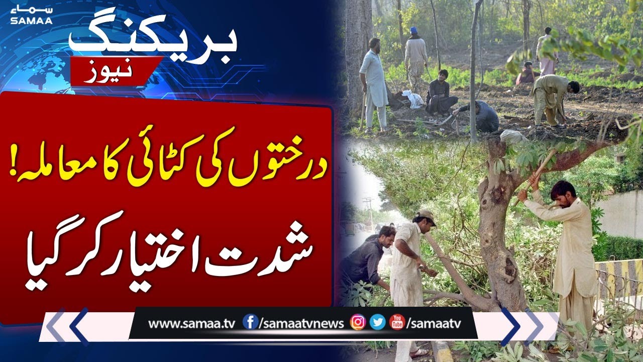 Trees Cutting Issue Reaches National Assembly as PPP Side With Opposition | Pakistan News | SAMAA TV
