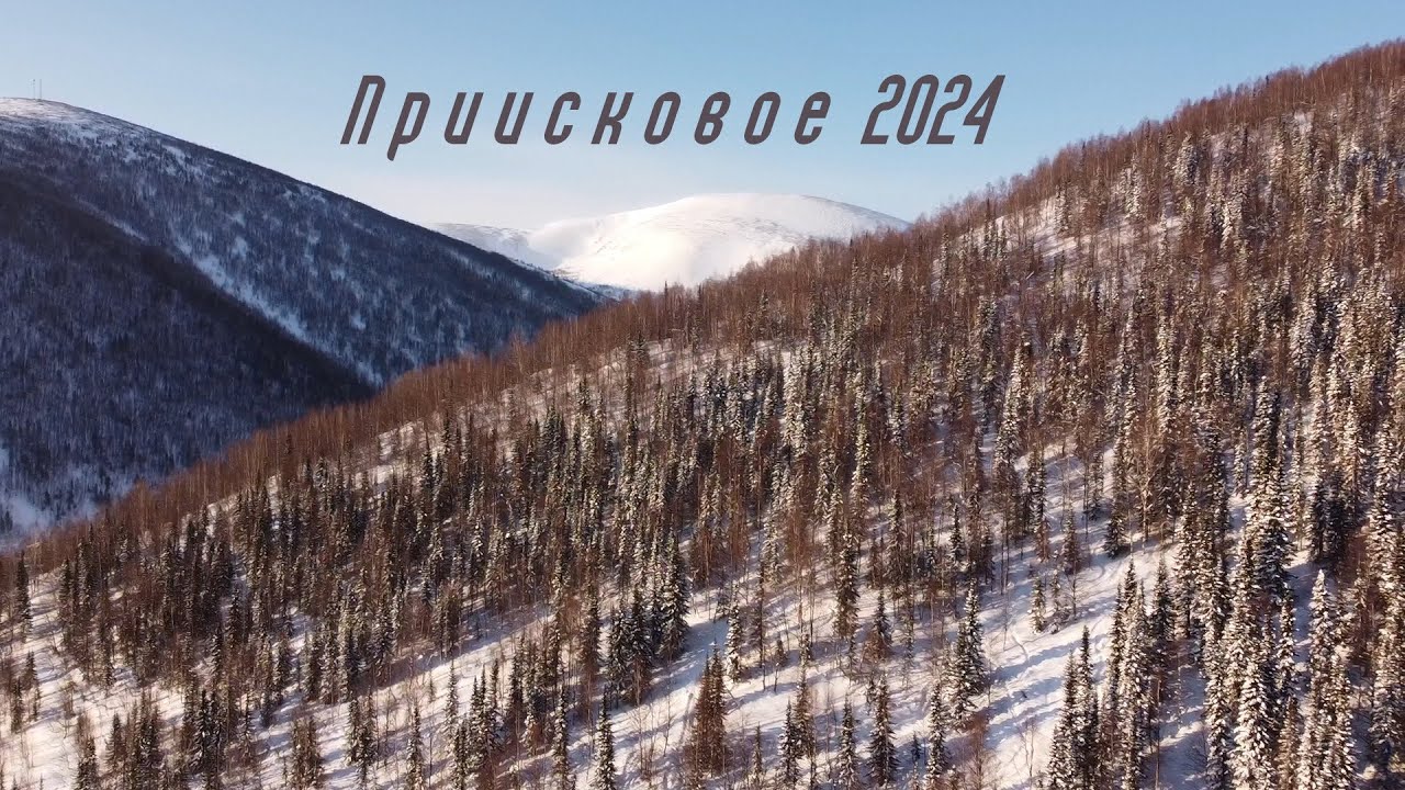 ПРИИСКОВОЕ 2024