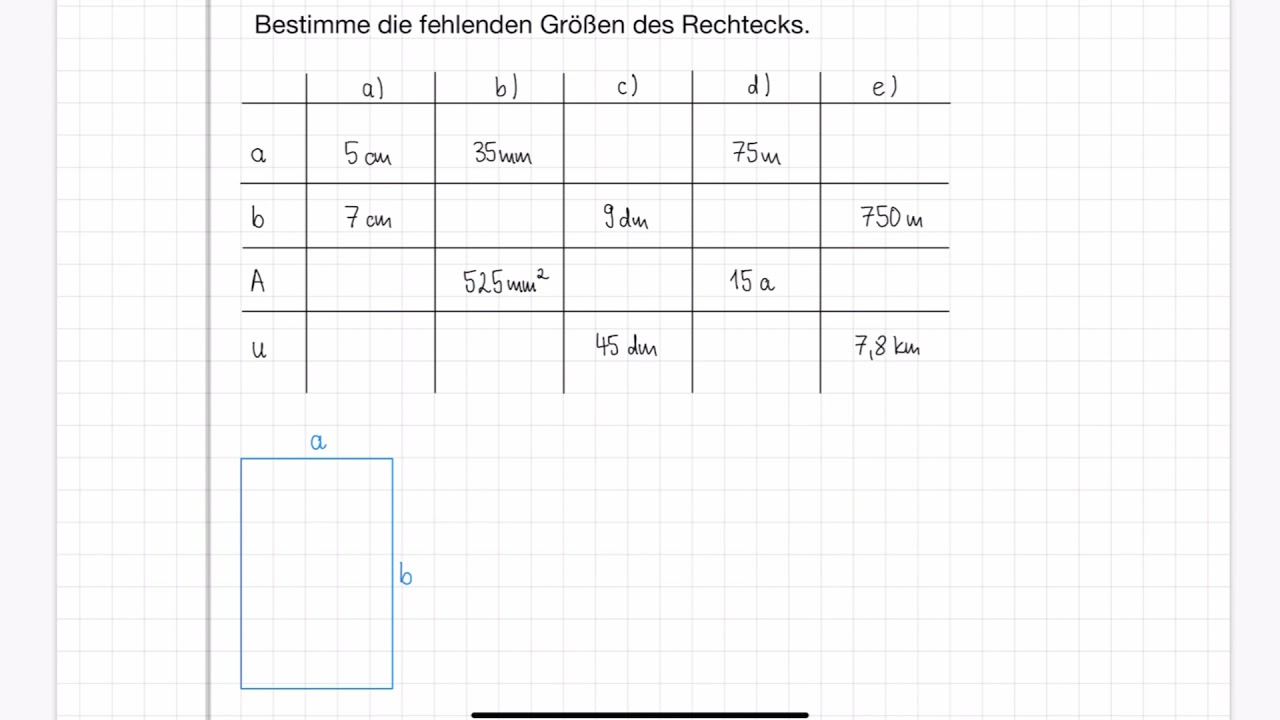 Größen im Rechteck berechnen | Flächeninhalt und Umfang | Klasse 5