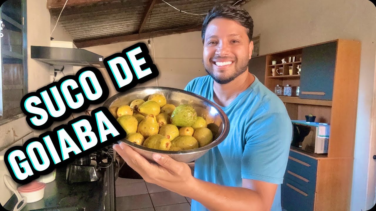 Fazendo suco com goiaba podre ￼