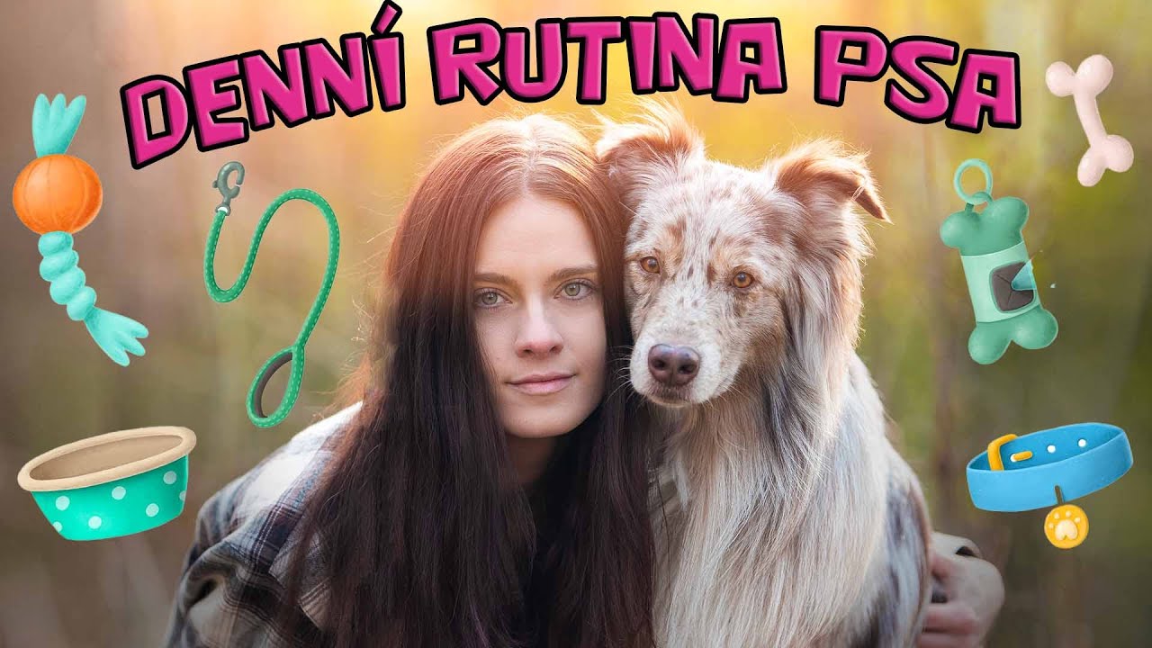 DENNÍ RUTINA PSA - takto vypadá ideální den mých psů