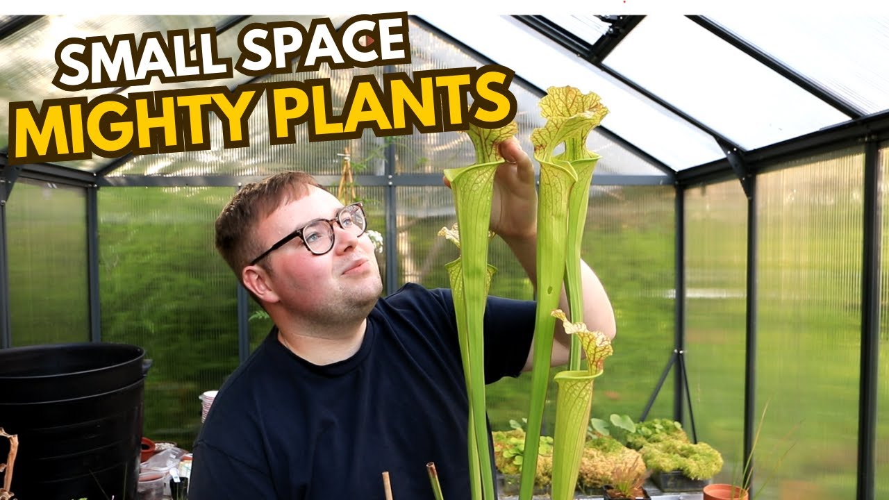 Scotland's coolest tiny greenhouse!
