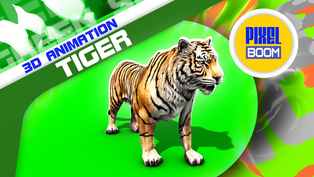 Green Screen Tiger Run Roar Animals - Footage  PixelBoom