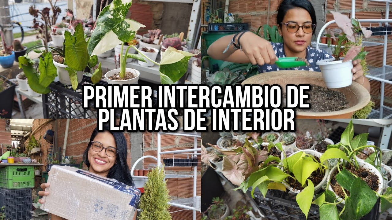 Mi jardín dará un giro inesperado, nuevas plantas del jardín de @AdriPlants 🌱 | Jardines by Angie