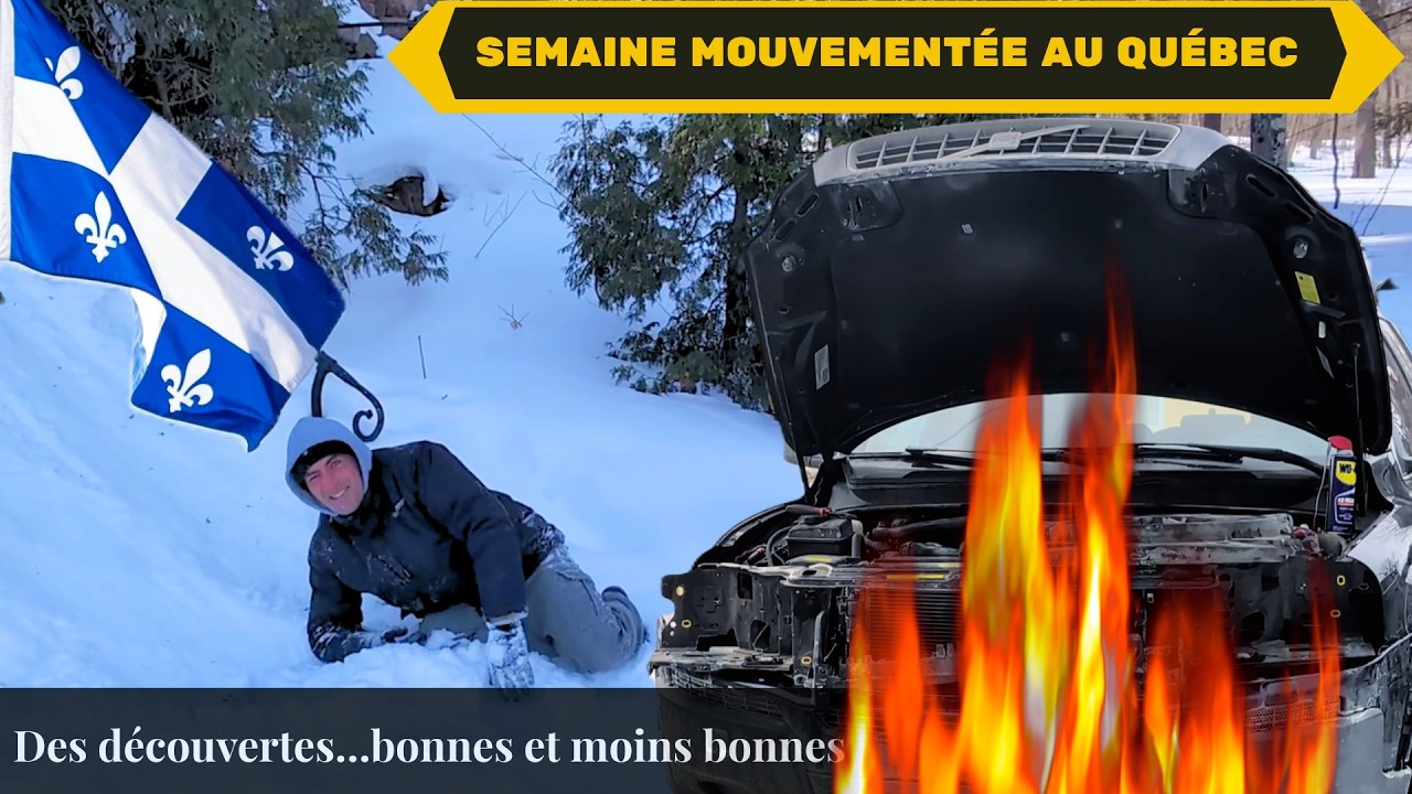 #181 -🚨IMMIGRATION AU QUÉBEC-SEMAINE MOUVEMENTÉE :DES DÉCOUVERTES… BONNES ET MOINS BONNES