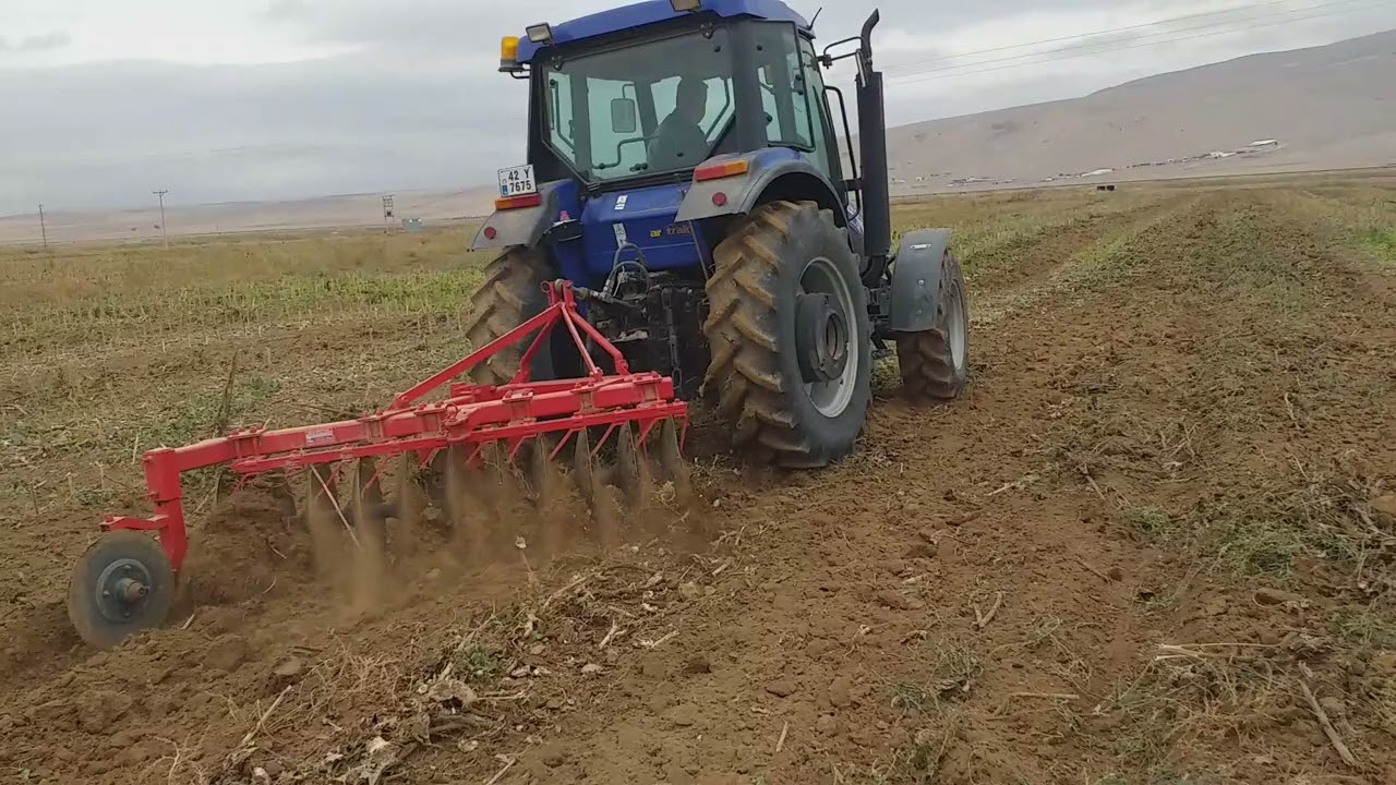 vamye ile Ayçiçek köklerini kırıyoruz