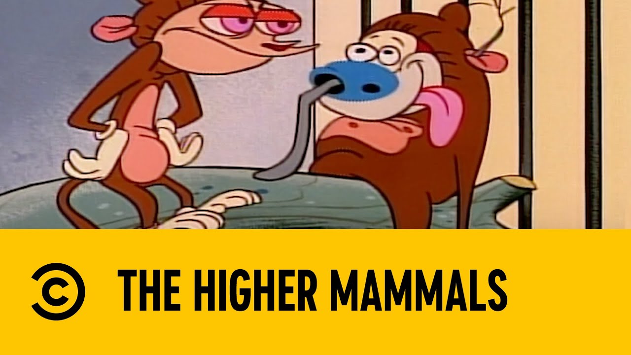 The Higher Mammals | The Ren & Stimpy Show | Comedy Central Africa