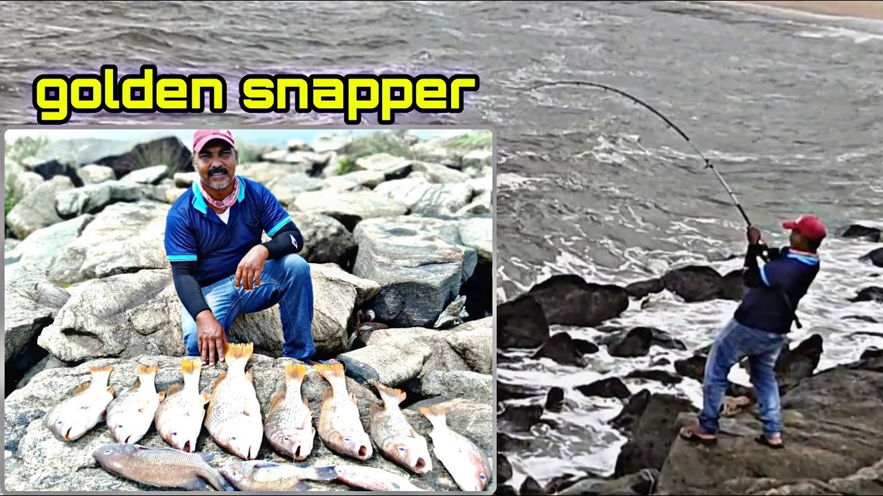 വല നിറയെ മീൻ 😳😮 || meen chagara 🎣|| finger Mark fishing || psycho angler...