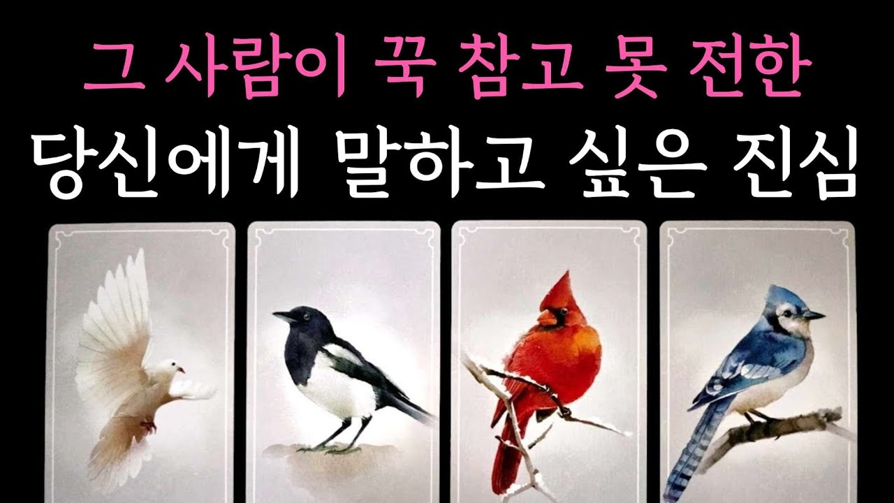 [타로] 신점보다 소름돋는 미친리딩🏆 그 사람이 꾹 참고 못 전한 당신에게 말하고 싶은 진심