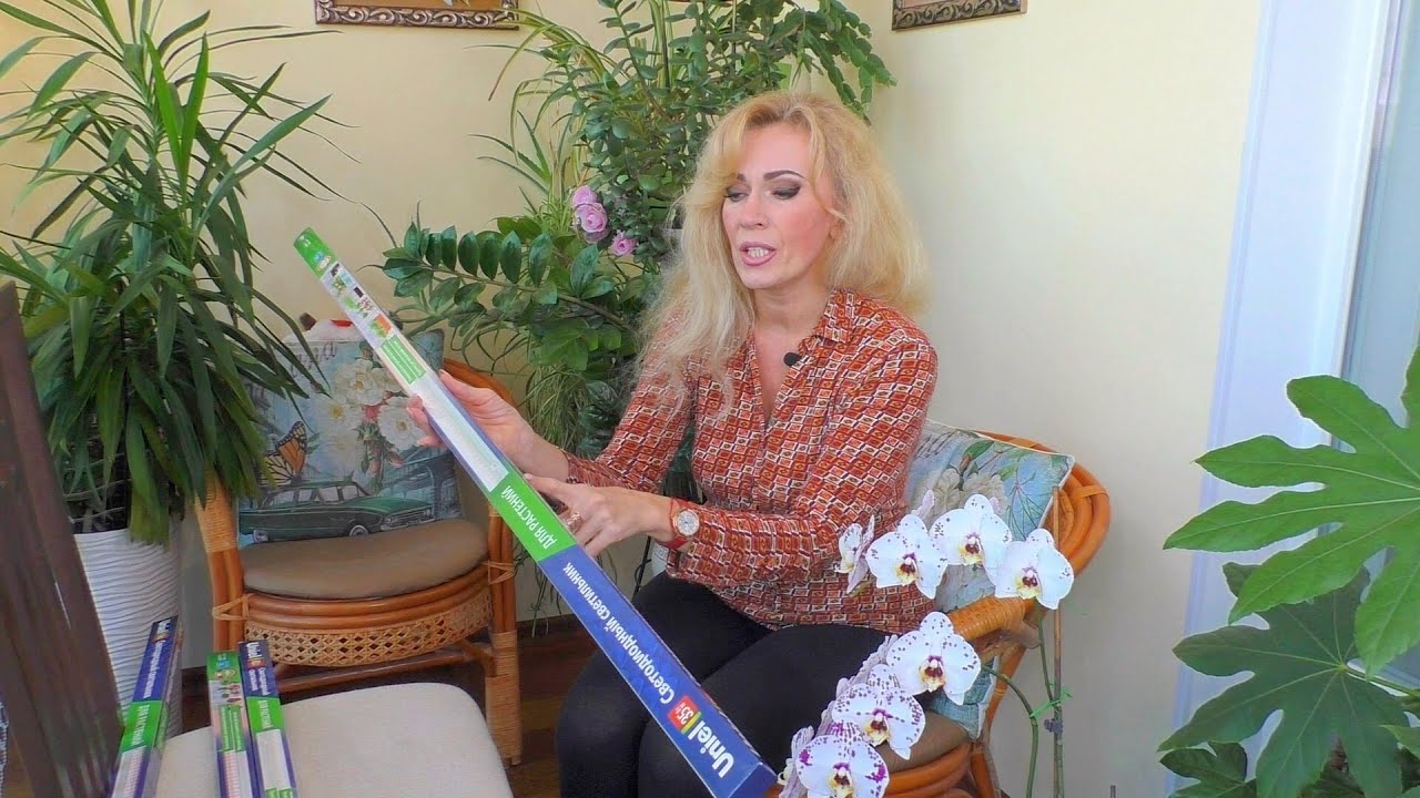 Орхидеи... Узнала новое о фитолампах.