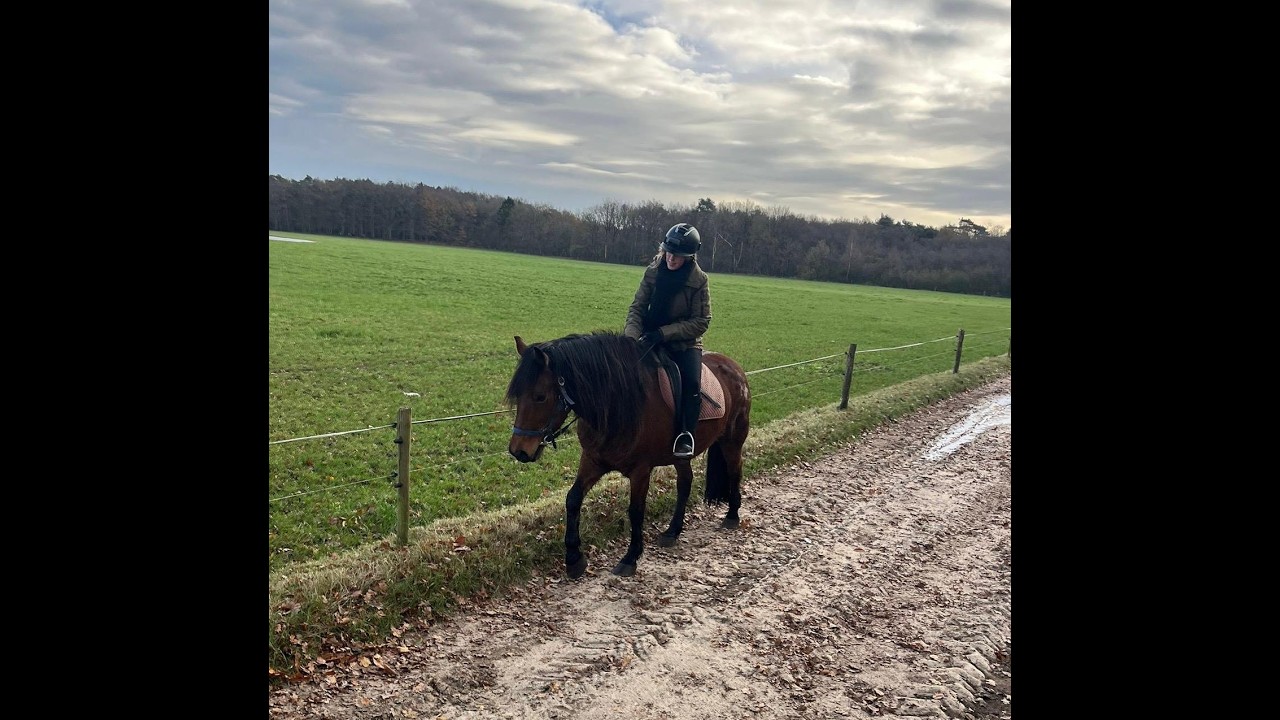 Rc Het Fjordenpaard huren 23-11-2025