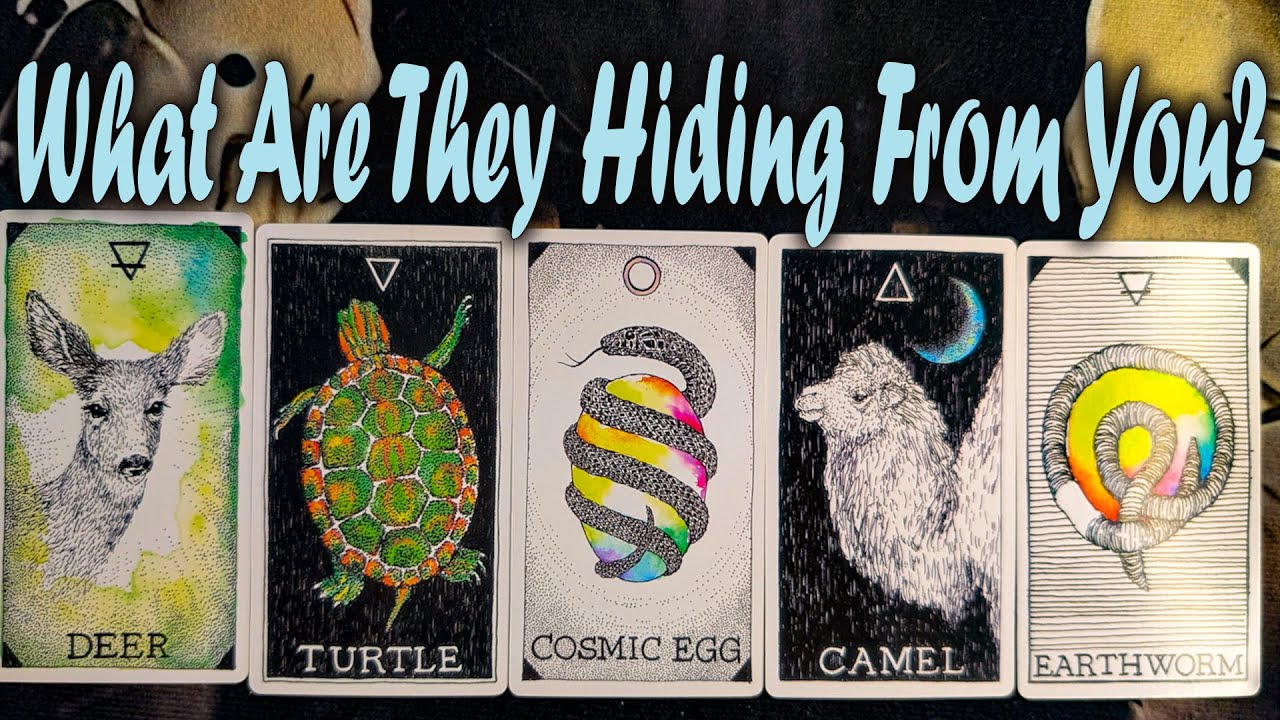 WHAT ARE THEY HIDING FROM YOU? 😱 Pick a Card Tarot Reading (Timeless)🔮