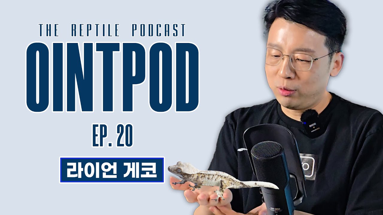 [OinPod] 트익할 최고수를 찾아서_라이언 게코 팟케스트ㅣEp.20_ Ryan Geckoㅣ파충류 팟케스트 오인팟