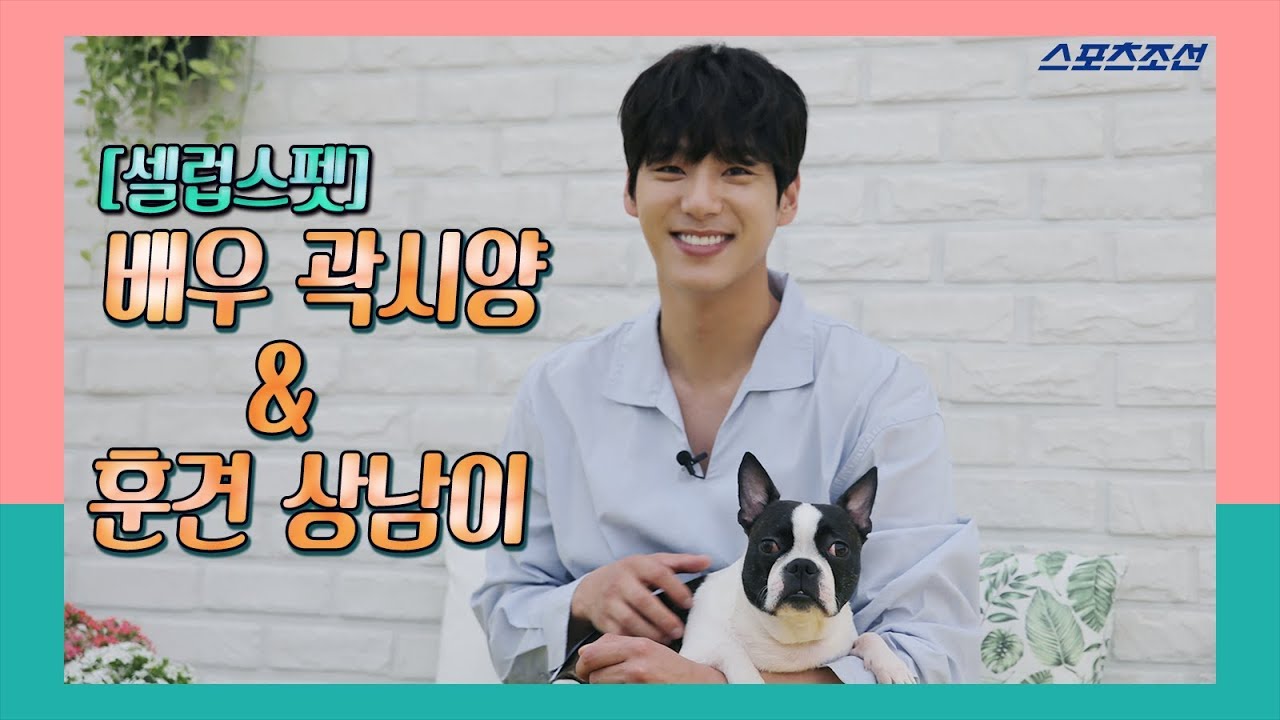 [셀럽스펫]배우 곽시양(Kwak Siyang)&상남이 '잘생김이란 이런 것'