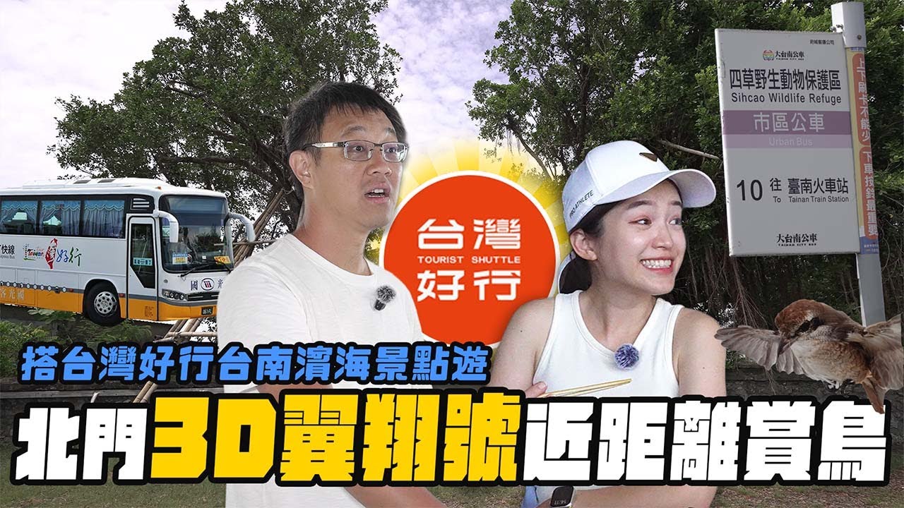 搭台灣好行台南濱海賞鳥趣，安順鹽場、七股鹽山、將軍漁港以及北門好玩的3D翼翔號稀有鳥類真實呈現