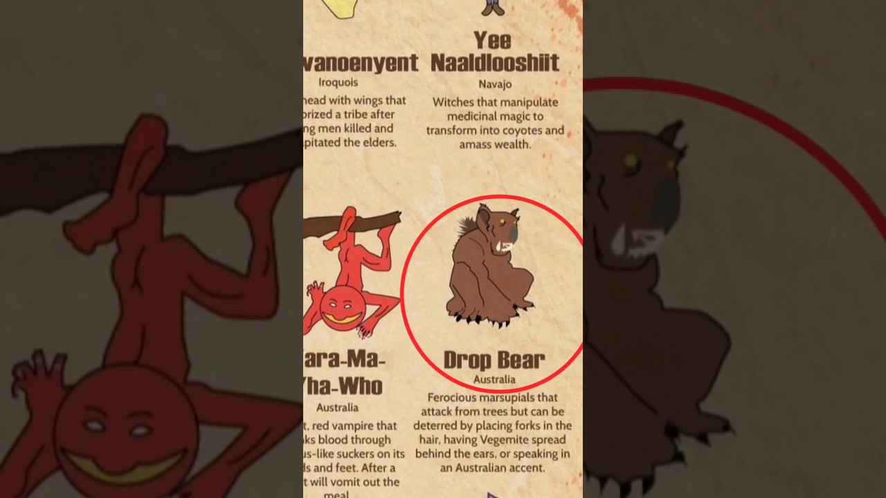 Type of mythical creatures||Drop Bear🐻||#australia#braves#brave#scary#bear#trending#australian 🇦🇺🐨🐑