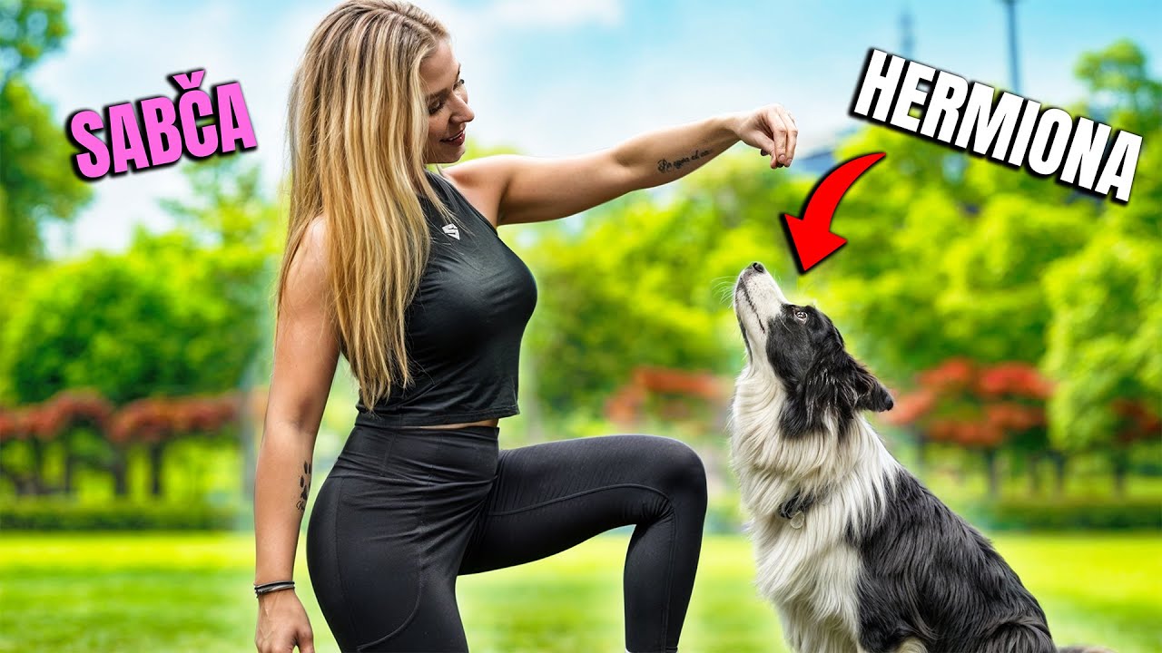 MŮJ PES M&Aacute; VLASTN&Iacute; POKOJ!