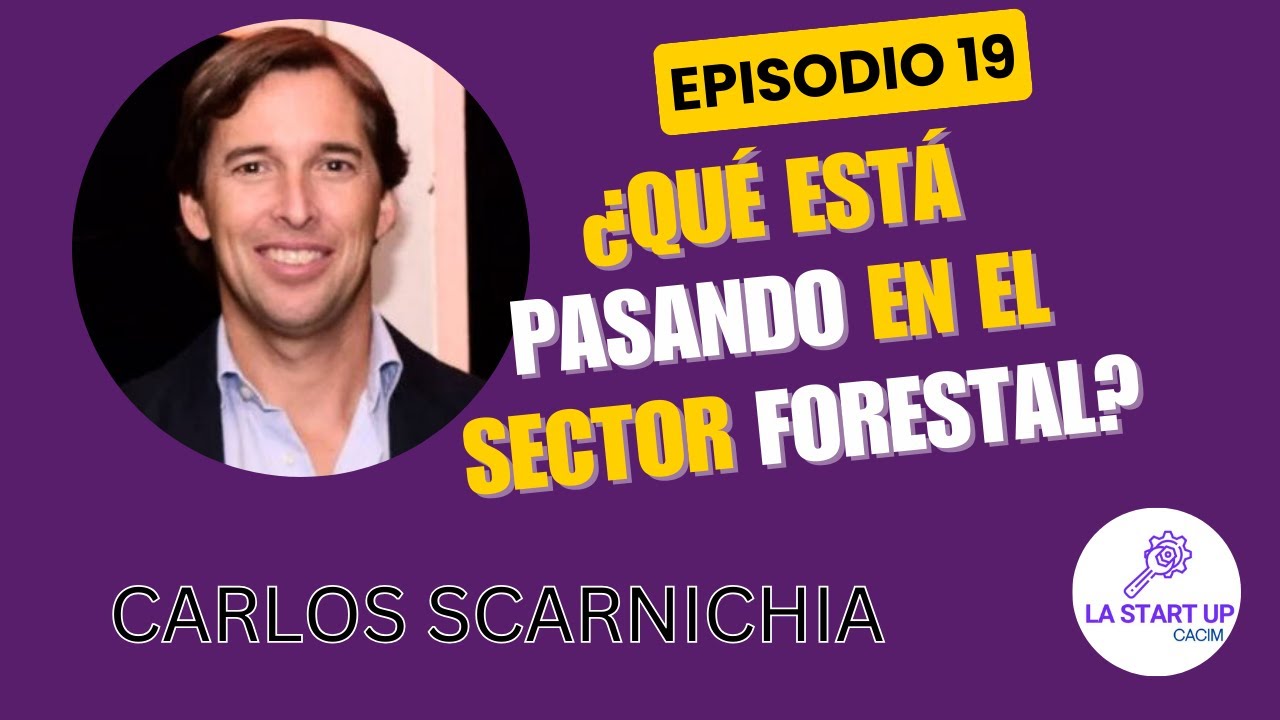 💰 El negocio forestal &iquest;todav&iacute;a tiene futuro? Lo que NADIE te cont&oacute; con el CEO de Puerto Laharrague
