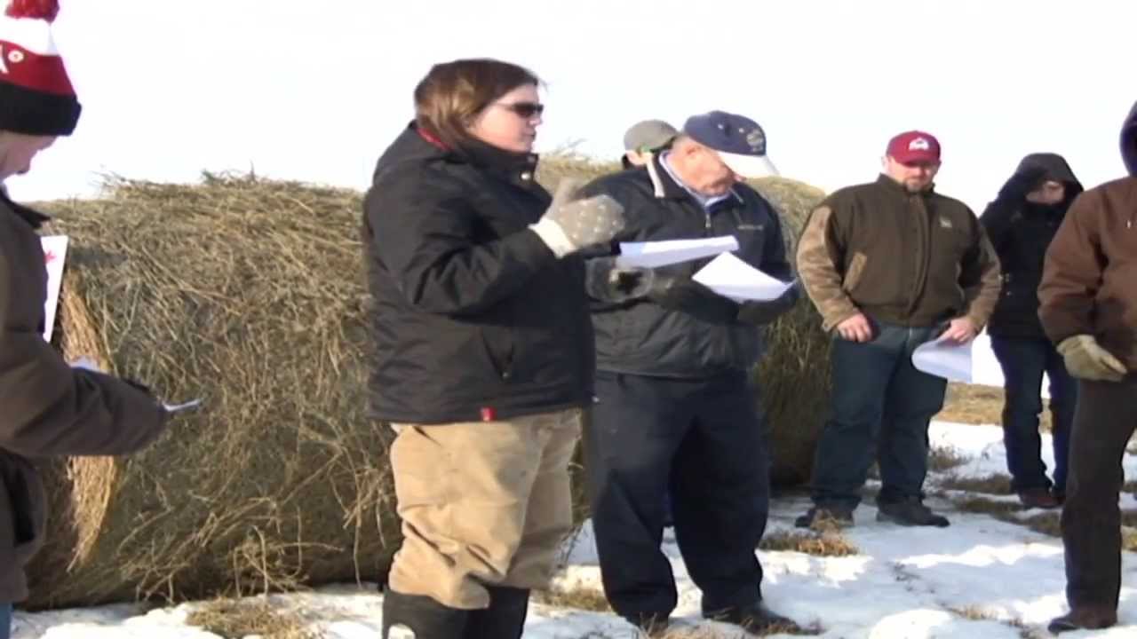 Hay Preservatives for High Moisture Hay-Yorkton, SK