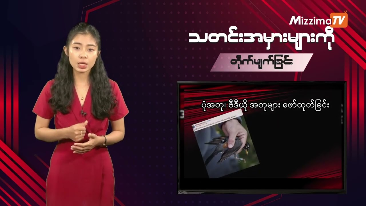သတင်းအမှားများကို တိုက်ဖျက်ခြင်း | Misinformation Buster