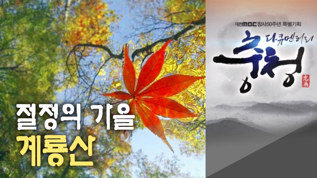 절정의 가을, 계룡산 대전MBC 다큐멘터리 [다큐충청 제4부:천년의 기다림, 계룡산](2013)