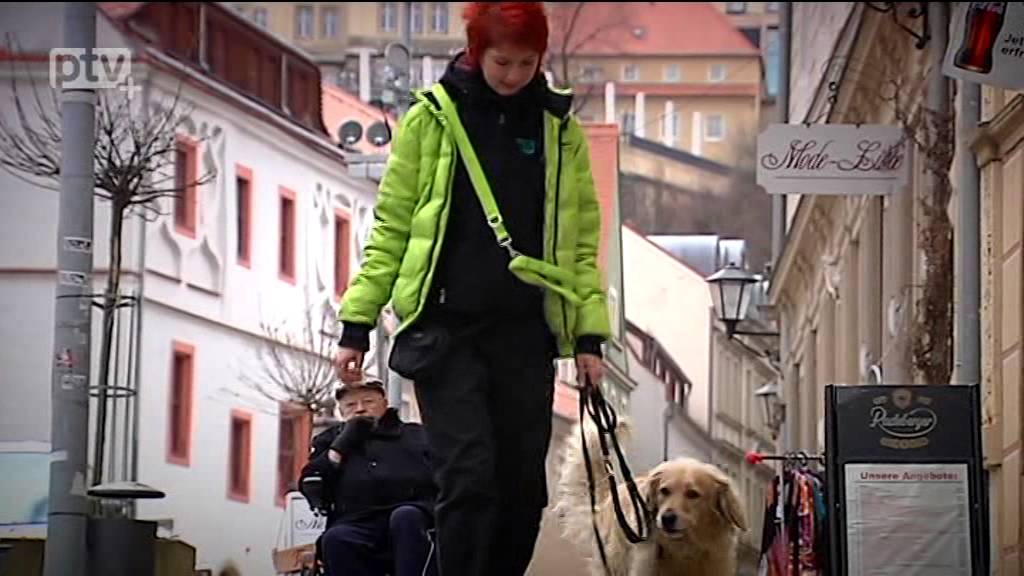 Neuer Tierbetreungs- und Gassiservice in Pirna