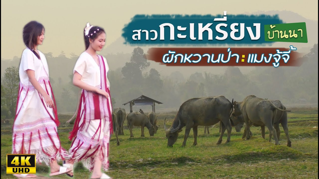 สาวกะเหรี่ยงบ้านนา ผักหวานป่า แมงจู้จี้ เรื่องราววิถีพื้นบ้านของหญิงสาวยามปิดเทอม พร้อมอาหารพื้นบ้าน