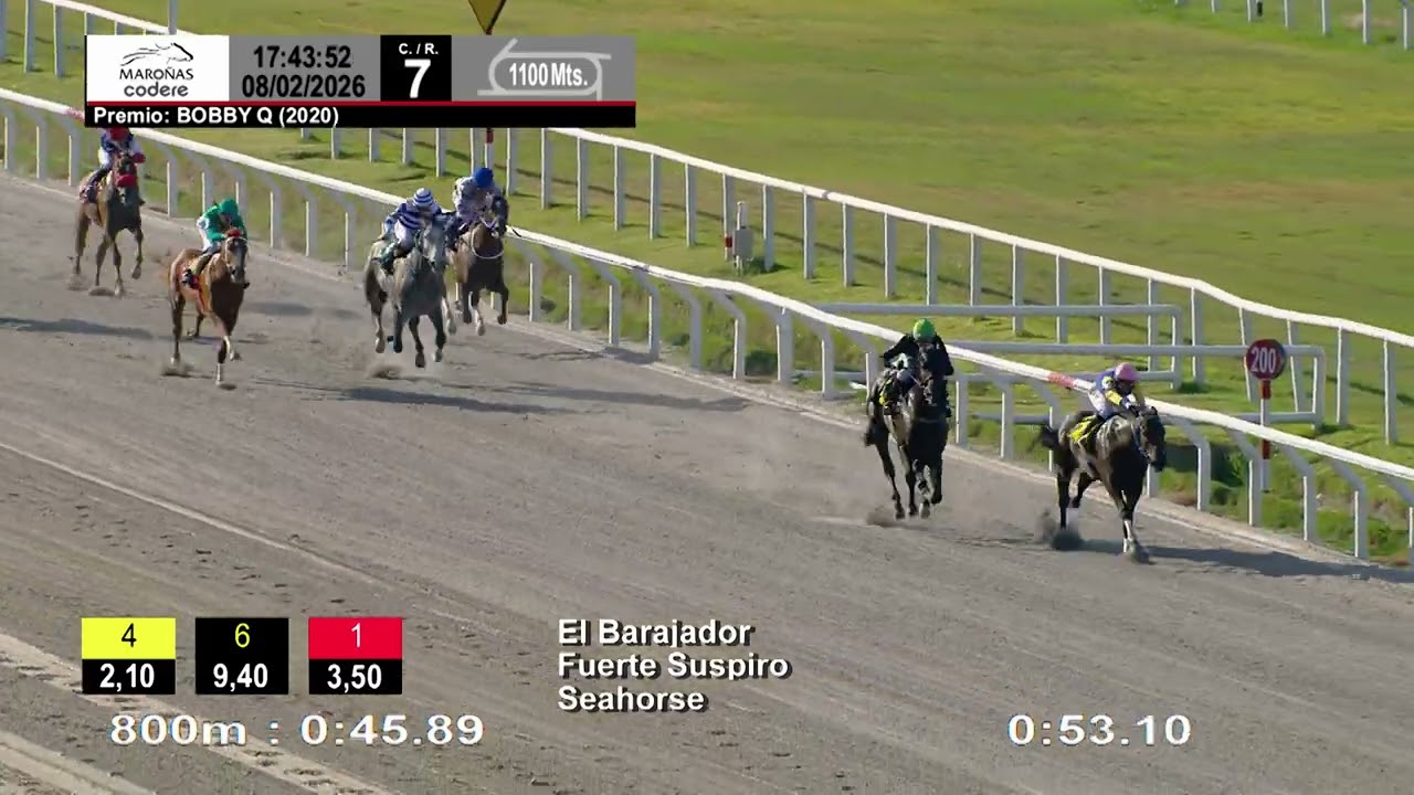 260208 c07 EL BARAJADOR