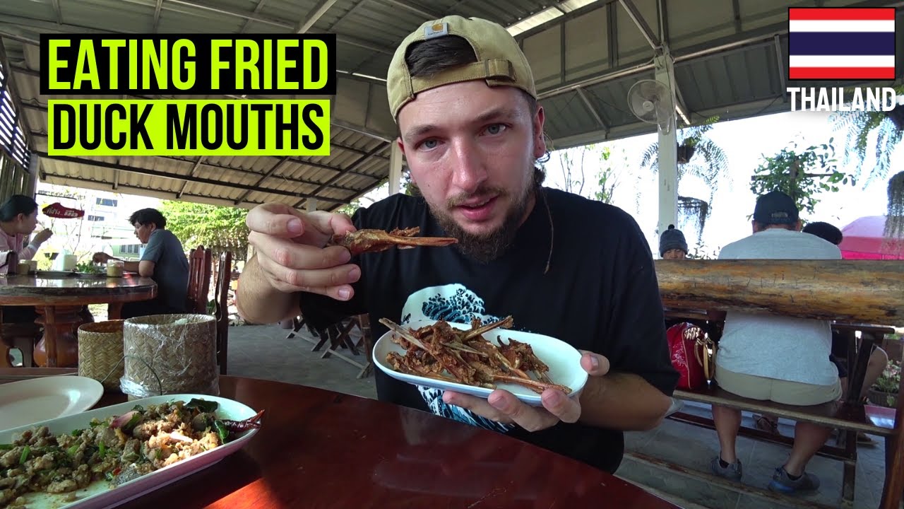 Ultimate ISAN Feast In Loei Thailand | Tourists Don't Eat This 🇹🇭