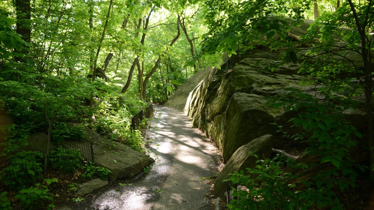 The Ramble Stroll