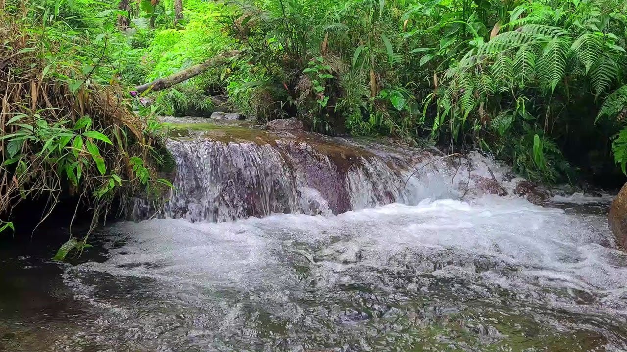 Night River Under the Moon – Soothing Flowing Water for Relaxation and Sleep