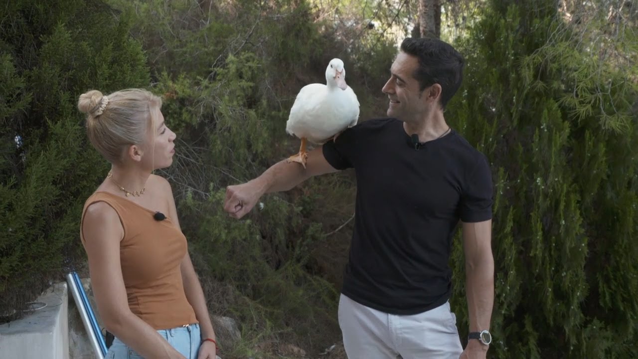 🐾 Animalades | Amor animal | EPISODI COMPLET