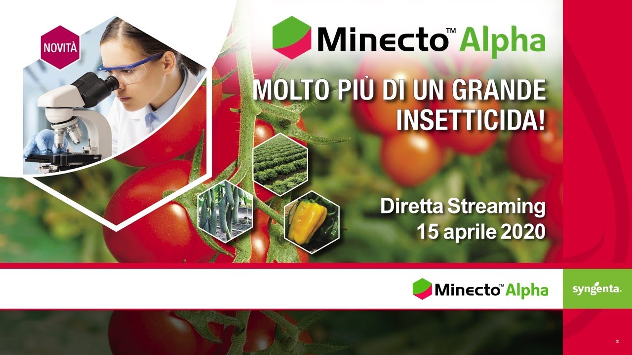 MINECTO ALPHA - Webinar di presentazione