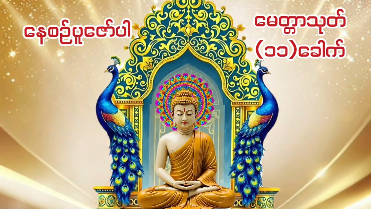 #မေတ္တာသုတ်(၁၁)ခေါက်#မင်းကွန်းဆရာတော်