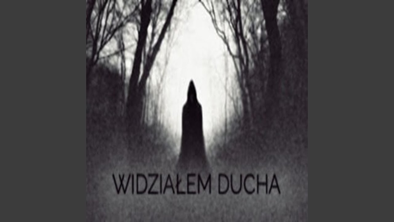 WIDZIAŁEM DUCHA