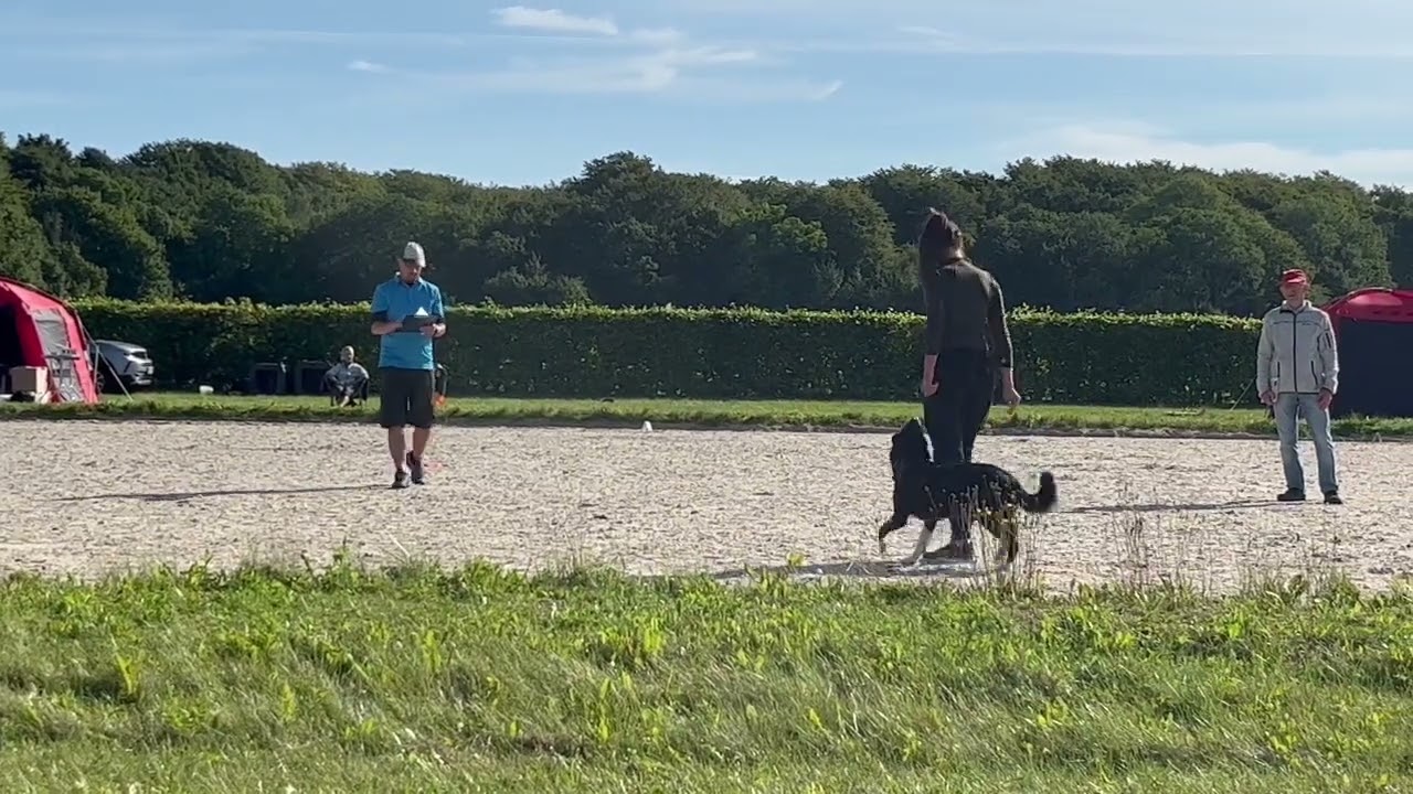 Competition FCI obedience, 4/9/22 - Rayder (4th place)