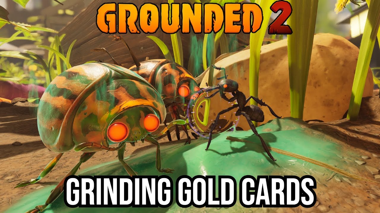 Continuing the Gold Grind | Toxic Tangle PTB