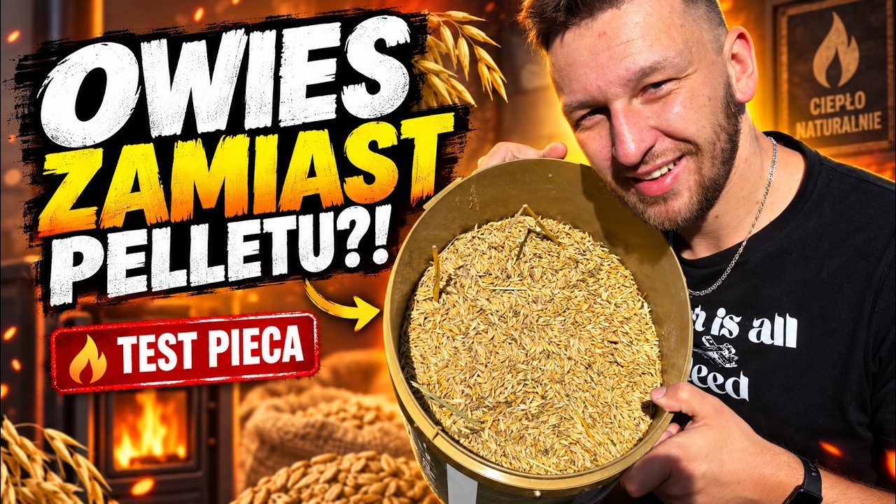 Pellet za drogi? No to owies!
